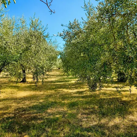 Nini - Miran Odmor U Blizini Poreca Apartman *